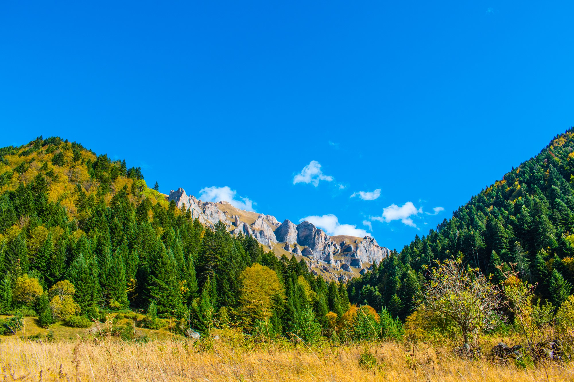 Што се национални паркови и зошто се важни?
