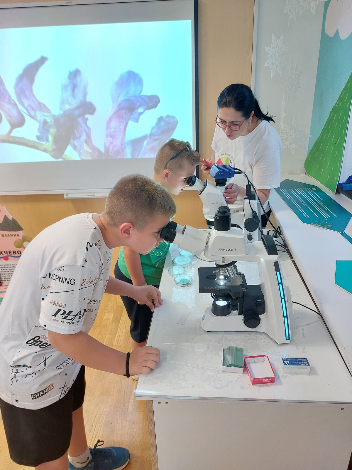 🌍 5 Октомври – Светски ден на учителите: Водичи низ знаењето и промената